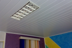 fotos (14)